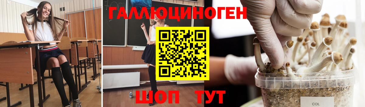 Галлюциногенные грибы Psilocybine cubensis Нальчик