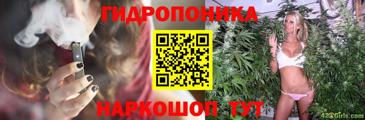 МАРИХУАНА план Нальчик